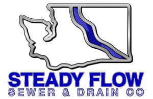 Steady Flow Logo Transparent 1