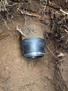 Damaged sewer line repair in Federal Way, WA