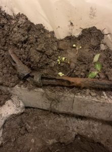 Sewer Line Issues in Seattle, WA