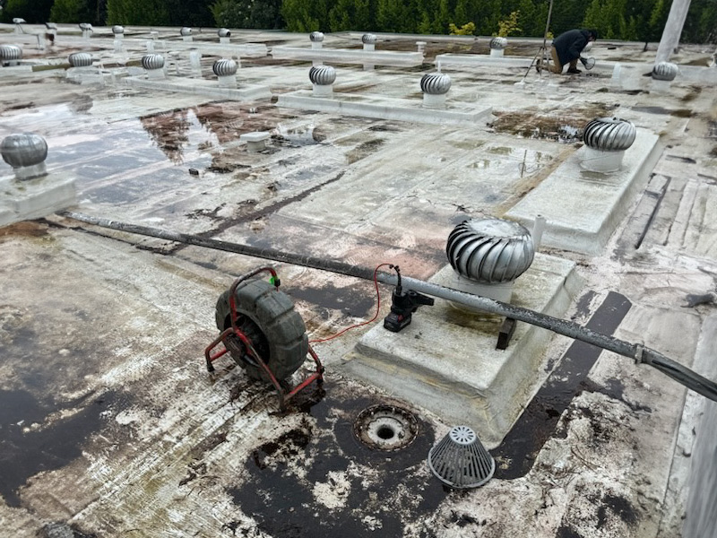 drain cleaning seattle roof