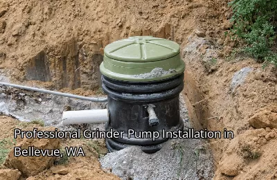Professional Grinder Pump Installation in Bellevue, WA