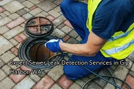 Expert Sewer Leak Detection Services in Gig Harbor, WA