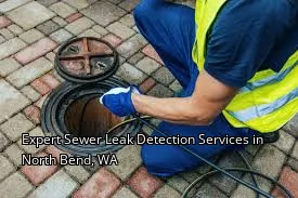Expert Sewer Leak Detection Services in North Bend, WA Expert Sewer Leak Detection Services in North Bend, WA