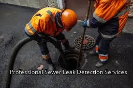 Professional Sewer Leak Detection Services Professional Sewer Leak Detection Services