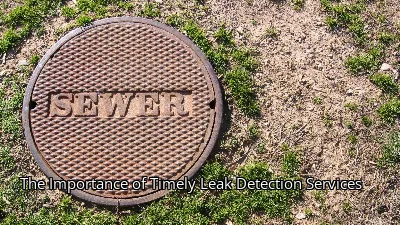 The Importance of Timely Leak Detection Services